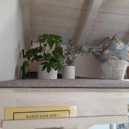 Sea Side House For Two In A Wilderness 펜션 비스