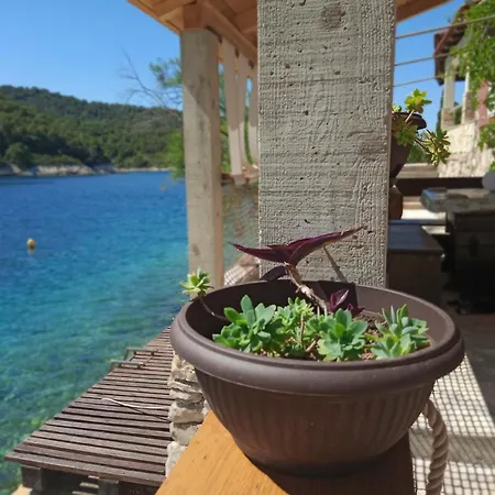 Semesterbostad Sea Side House For Two In A Wilderness Vis