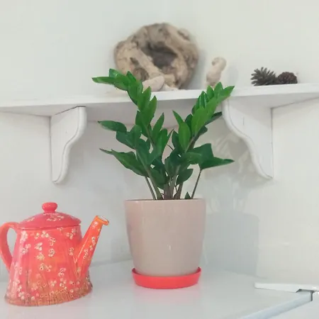 Sea Side House For Two In A Wilderness 비스