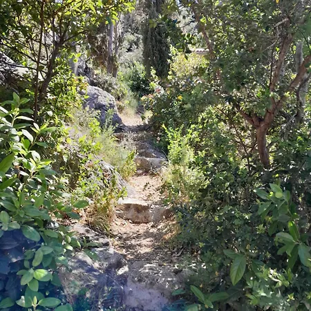 بيت للعطل Sea Side House For Two In A Wilderness فيس